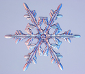 A stellar dendrite snow crystal